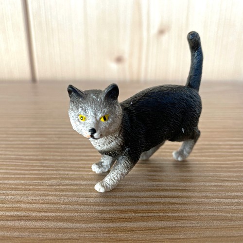 Chat noir blanc aux yeux - blanc,