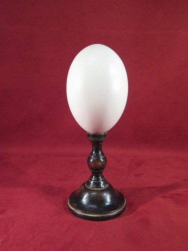 Oeuf autruche monte sur pied - oeuf,