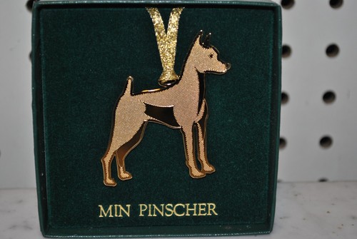 Min pinscher dog - min,
