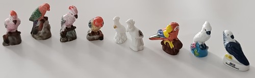 Fèves oiseaux perroquet - fèves,