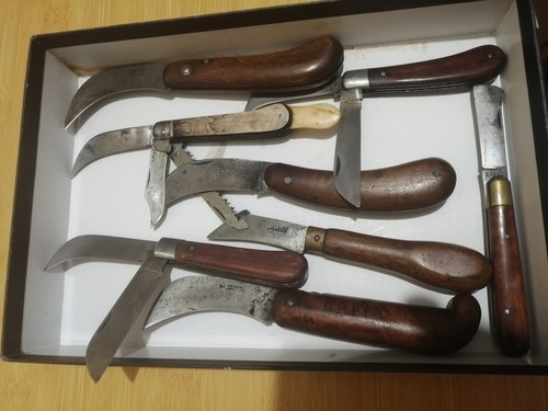 Lot couteaux greffoir - lot,
