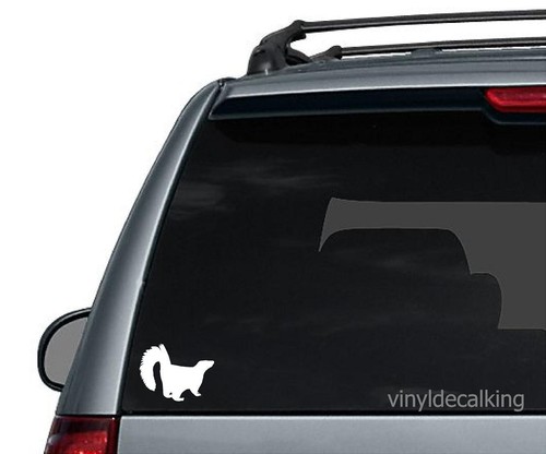 Skunk decal vinyl - vinyl, truck