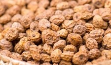 20 Graines De Souchet  issus