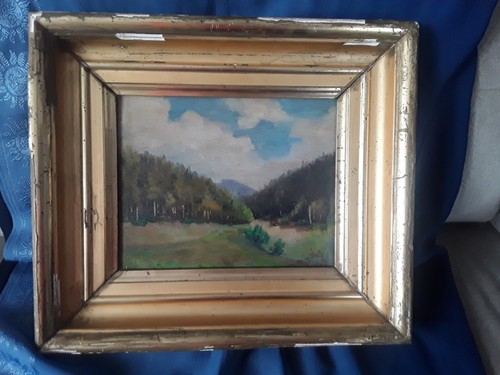 Tableau peinture sur bois - peinture,