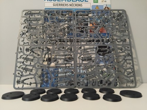 Guerriers necrons - 10,