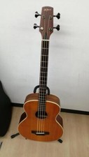 Guitare acoustique électrique