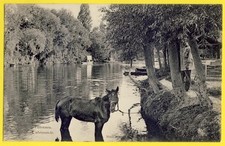 cpa 78 - VILLENNES BORDS de