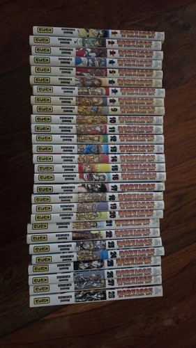 Lot intégral manga saint - intÉgral,