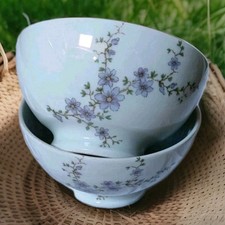 2 Bols Anciens Porcelaine De Limoges Fleurs Violettes