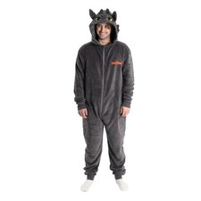 How To Train Your Dragon -