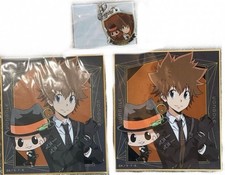 Sawada Tsunayoshi Reborn 