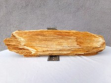 Superbe morceau de bois