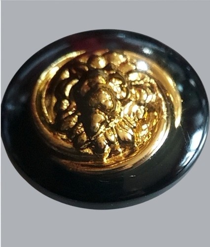 Tres beau bouton tete lion - beau,