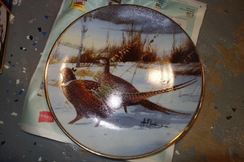 Various collector plates