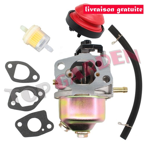 Carburateur kit pour - kit, ohv