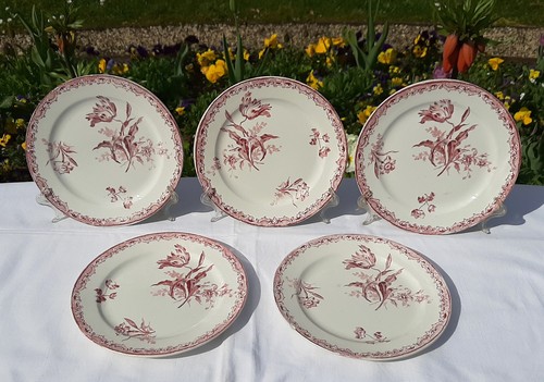 Assiettes desserts - 5,
