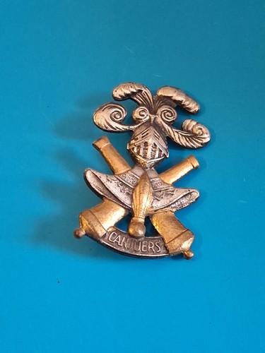 Insigne militaire camp - insigne,