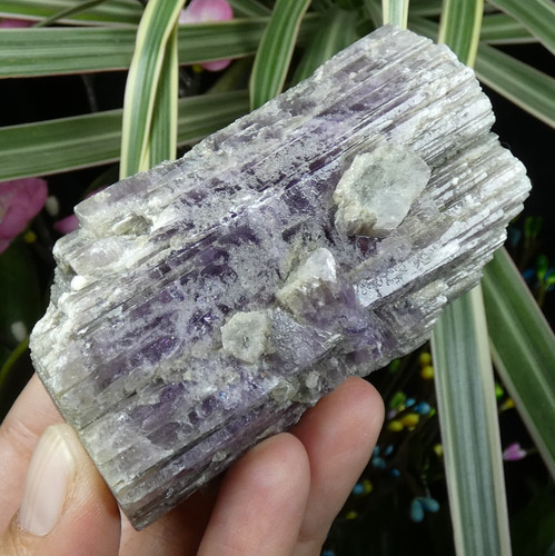 Top gros ensemble aragonite - top,