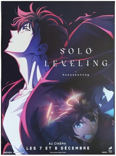 Solo leveling affiche cinéma - leveling,