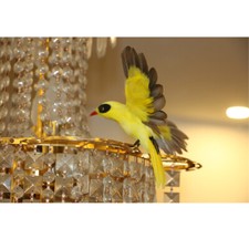 Artificiel Réaliste  Oie Taxidermie