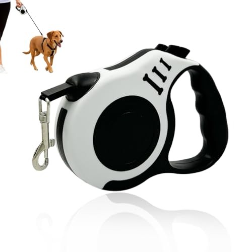 Kylos laisse chien - chien, enrouleur