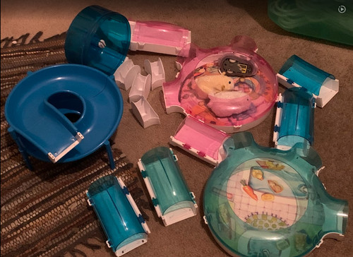 Zhu pets lot with - lot, tracks