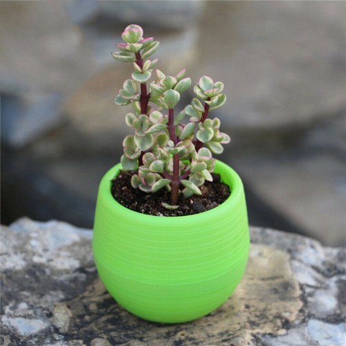 10xresin pots fleurs - 10xresin,
