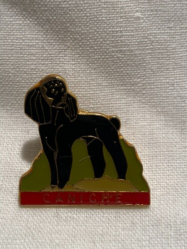 Pin chien caniche noir - chien,