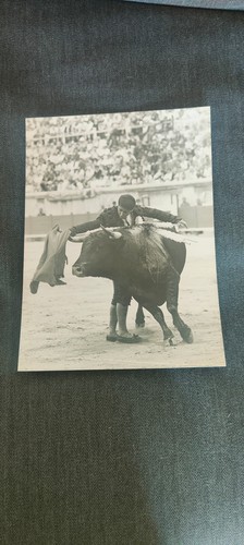 Photo torero par michel - par,