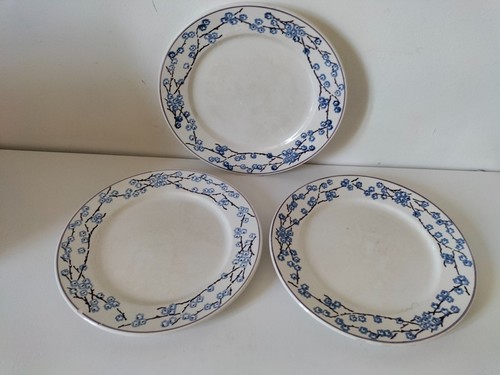 Assiettes plates digoin - plates,