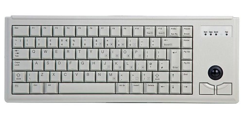 Cherry americas - cherry,
