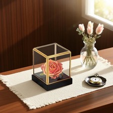 Vitrine en verre vintage pour