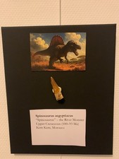 Tableau paléontologique