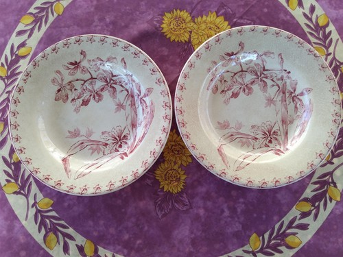 Assiettes creuses terre de - creuses,