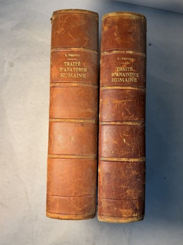 Testut traité anatomie - testut,, d’anatomie