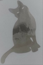 CHAT  Autocollant Tuning Luxe