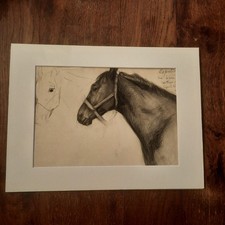 Dessin Ancien Animalier Fond