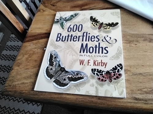 Butterflies moths europe - moths,