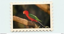 Carte Postale - Animaux -