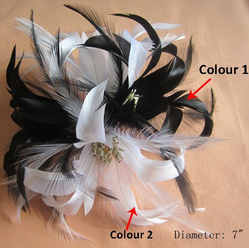 élégant fascinateur - Élégant, en
