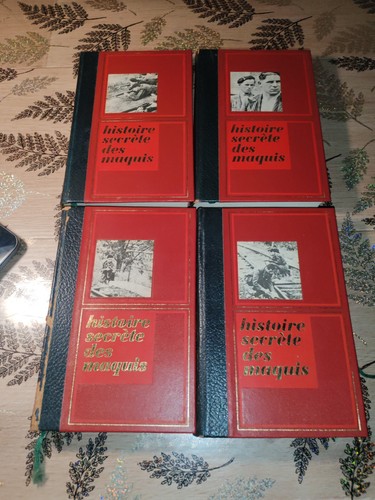 Livre histoire secrete des - livre,