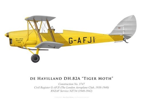 Print tiger moth - print, dh.82