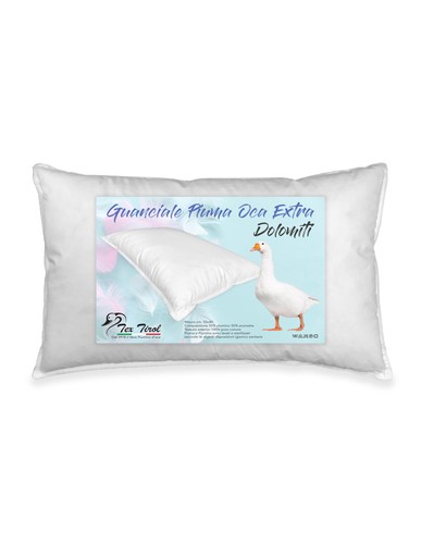 Oreiller coussin plume de - oreiller,, coussin,