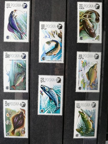 Timbre pologne neuf poissons - pologne,