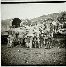 GRÈCE Arbre Noir Mavrodendri 1918 Guerre WW1 Photo Verre Stereo Vintage G§3