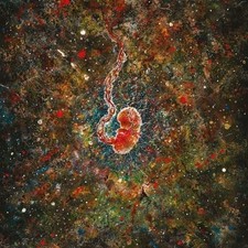 Vinile - Iterum Nata - Trench