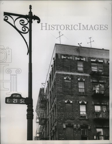 1959 press photo - press, grows