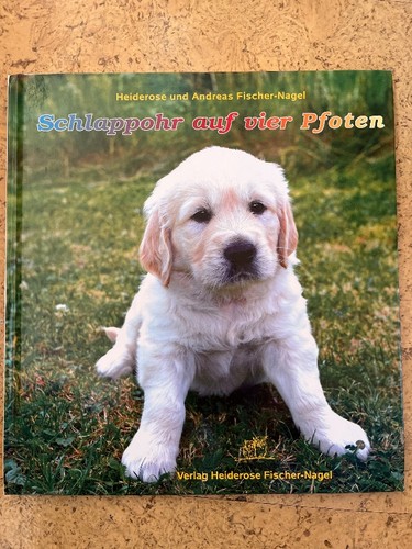 Livre cadeau golden - cadeau,
