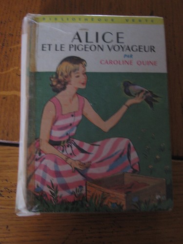 Alice pigeon voyageur - le,
