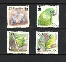 S2613 Jamaïque 2006 Oiseaux